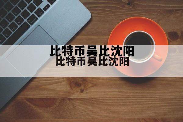 沈阳比特币持有者，比特币吴比沈阳