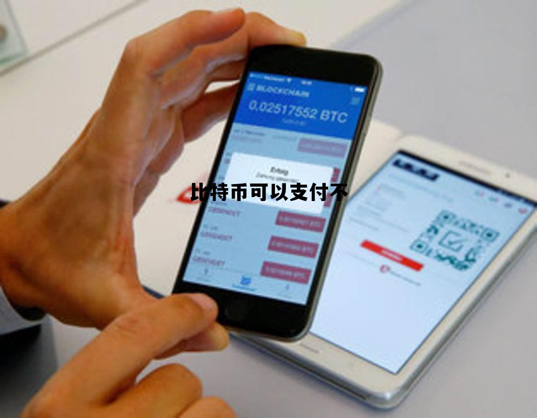 比特币可以支付不能交易吗，比特币可以支付不