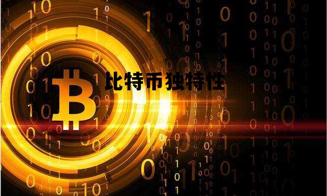 比特币独特性是什么,比特币独特性 比特币独特性是什么,比特币独特性