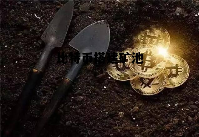建一个比特币矿场要哪些设备,比特币搭建矿池 建一个比特币矿场要哪些设备,比特币搭建矿池