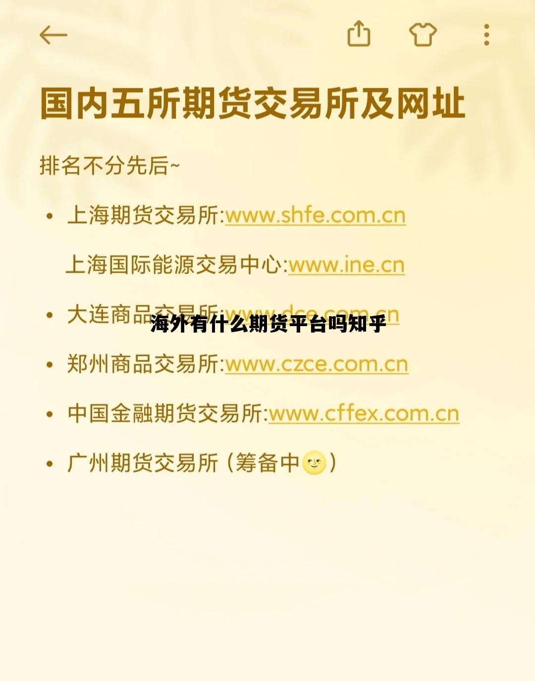 海外期货是什么意思，海外有什么期货平台吗知乎